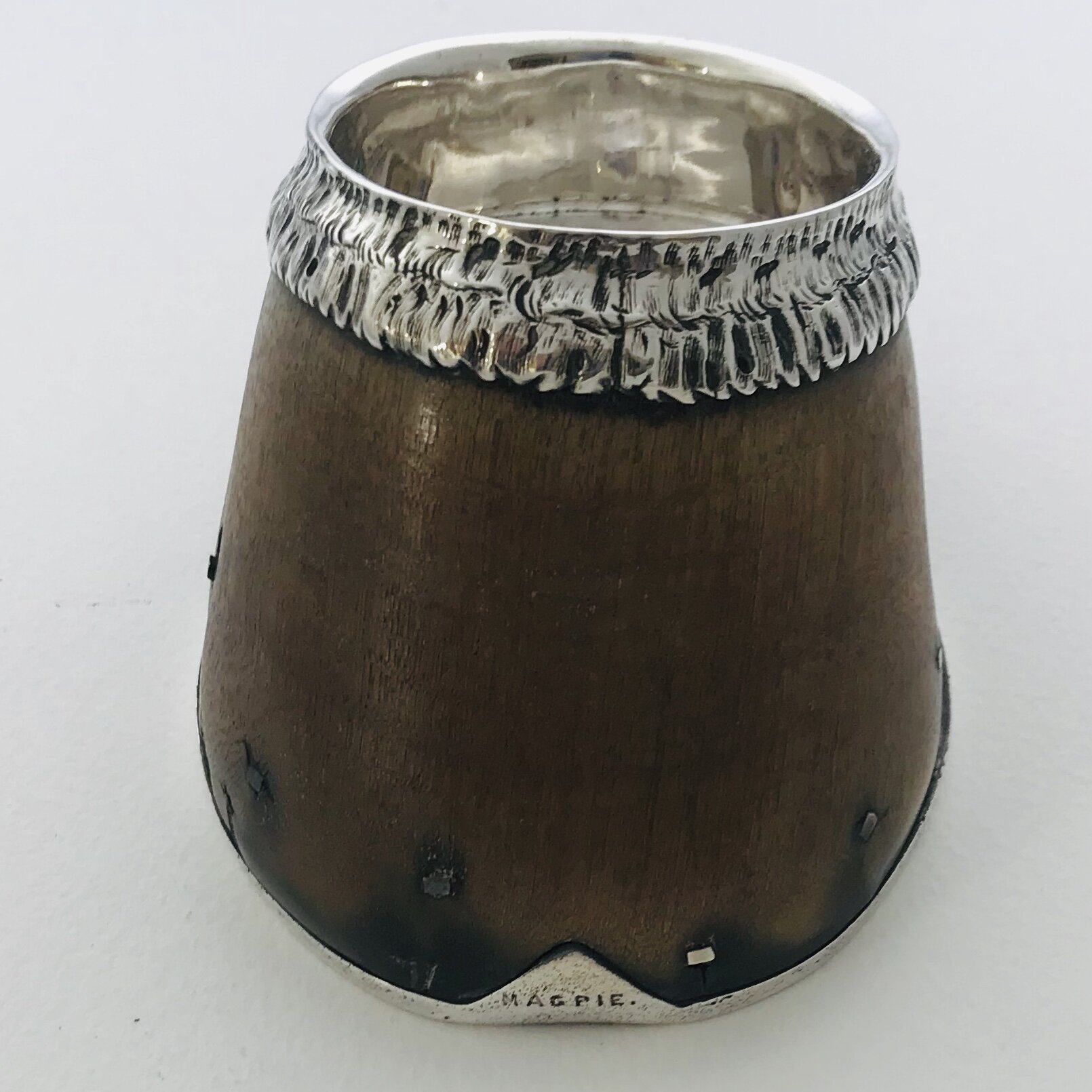 Sterling Silver Mounted Horse Shoe