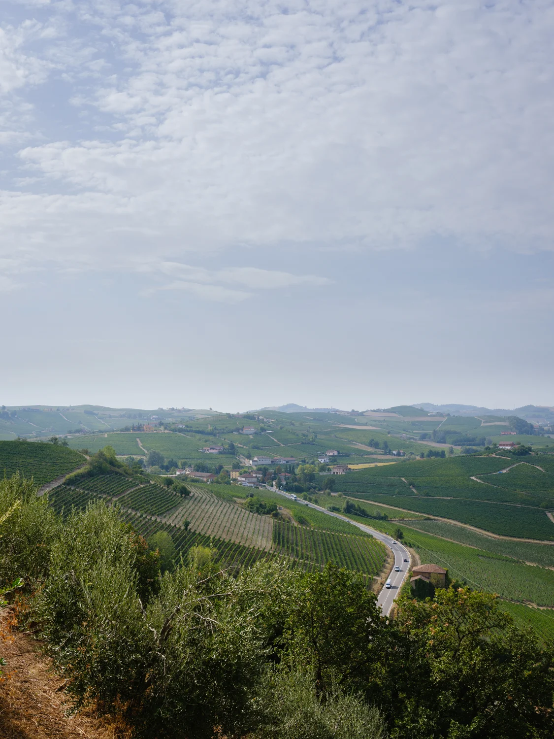 Castel Boglio liegt neben Nizza Monferrato im östlichen Teil des Piemonts