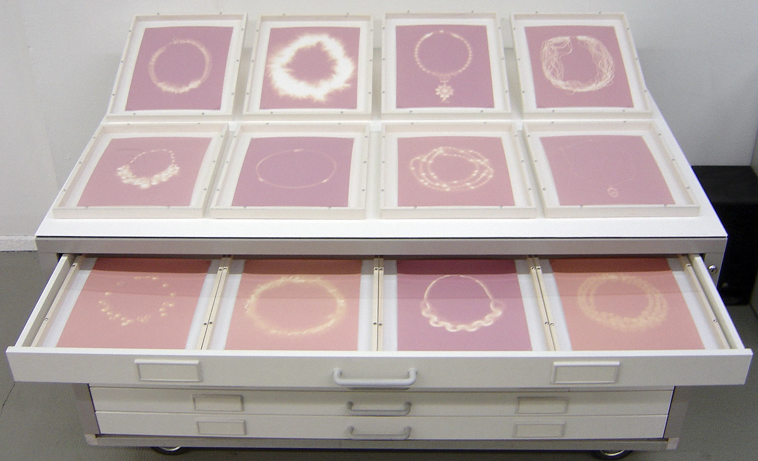ROSES F&D Cartier Galleria Consarc Chiasso, Suisse , 2007 presentation of the Cartier's sries