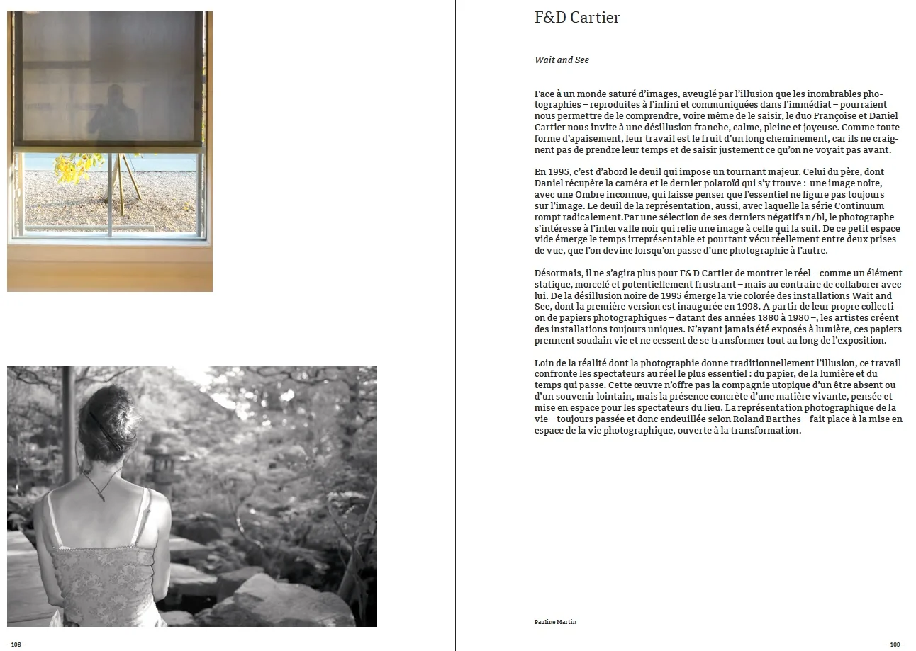 Excerpt F&D Cartier Wait and See