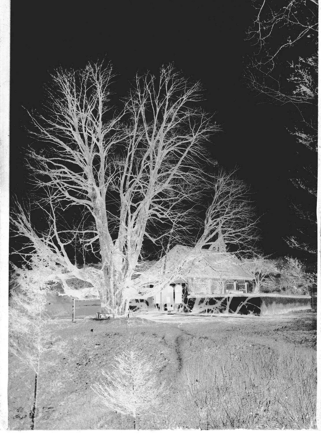 Welcome to the opening Cantonale 2019 at Centre Pasquart Bienne, December 7th, 17:00  