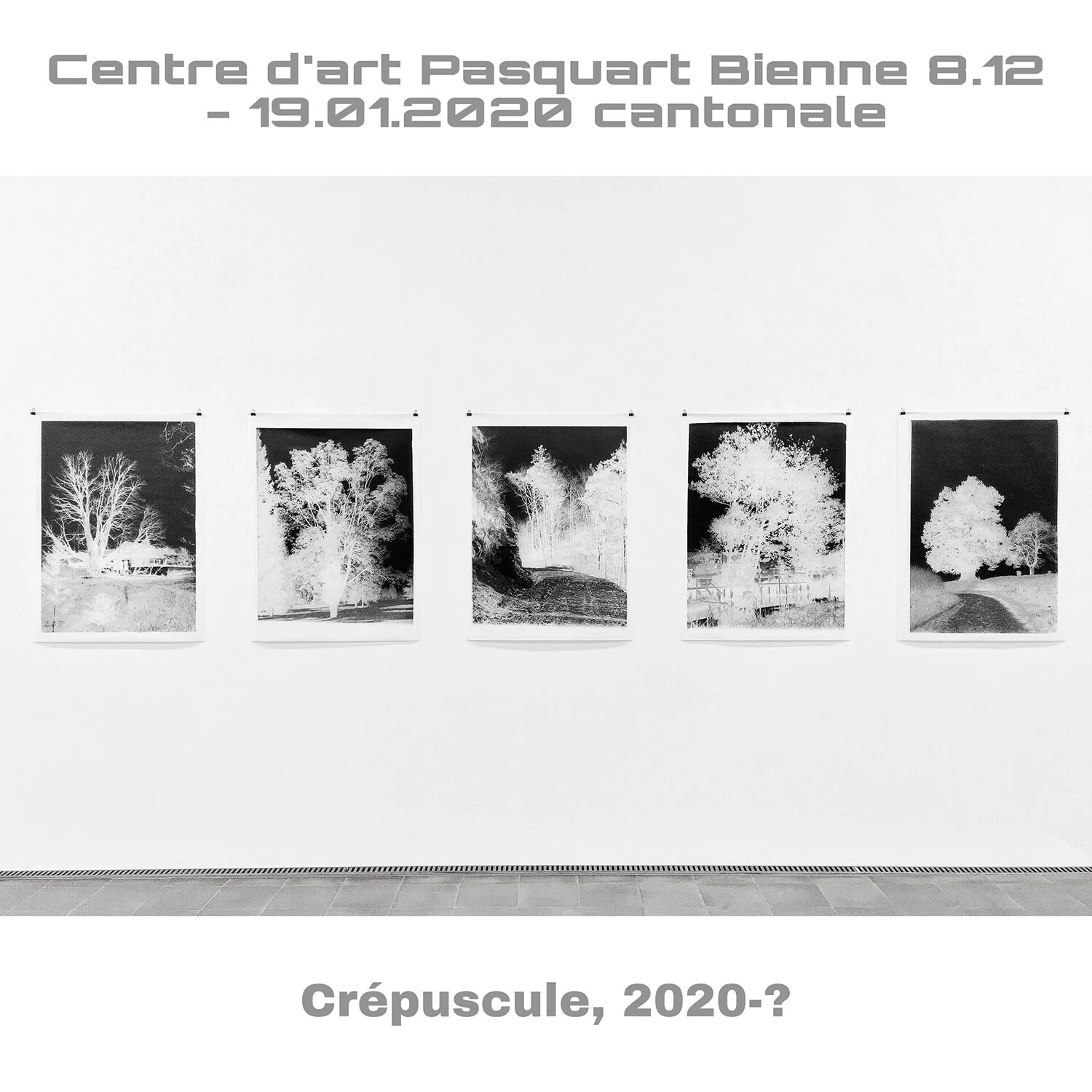Crépuscule  Zwielicht  Twilight  2020 - ?