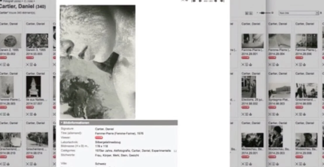 Capture écran vidéo 2.jpeg