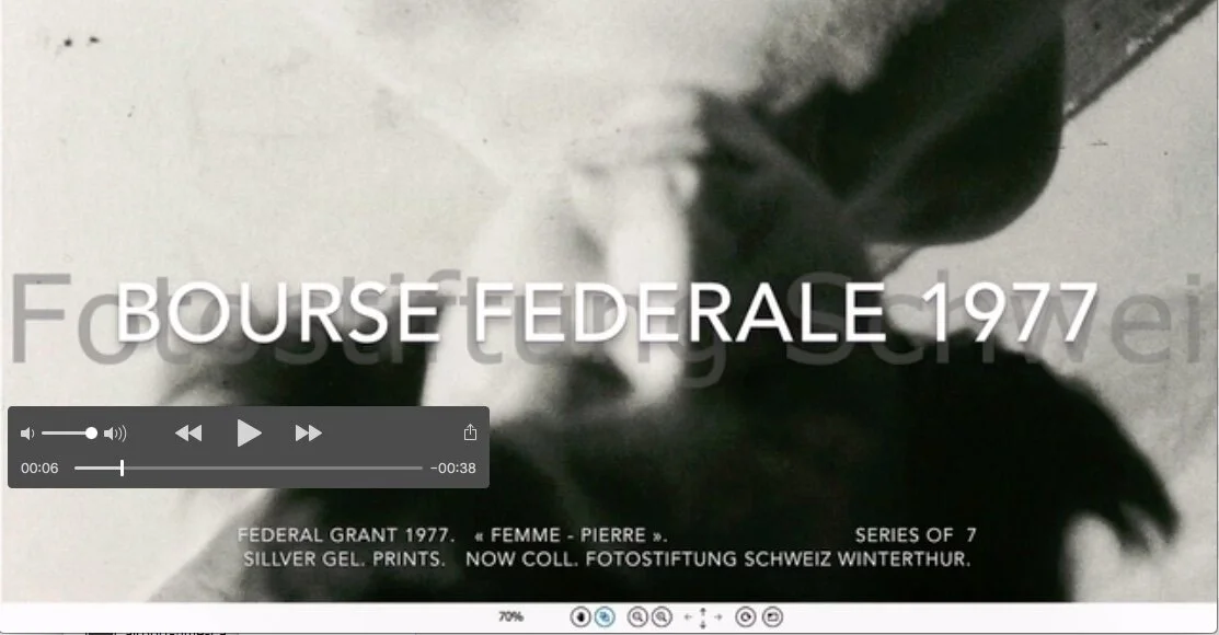 Capture écran vidéo.jpeg