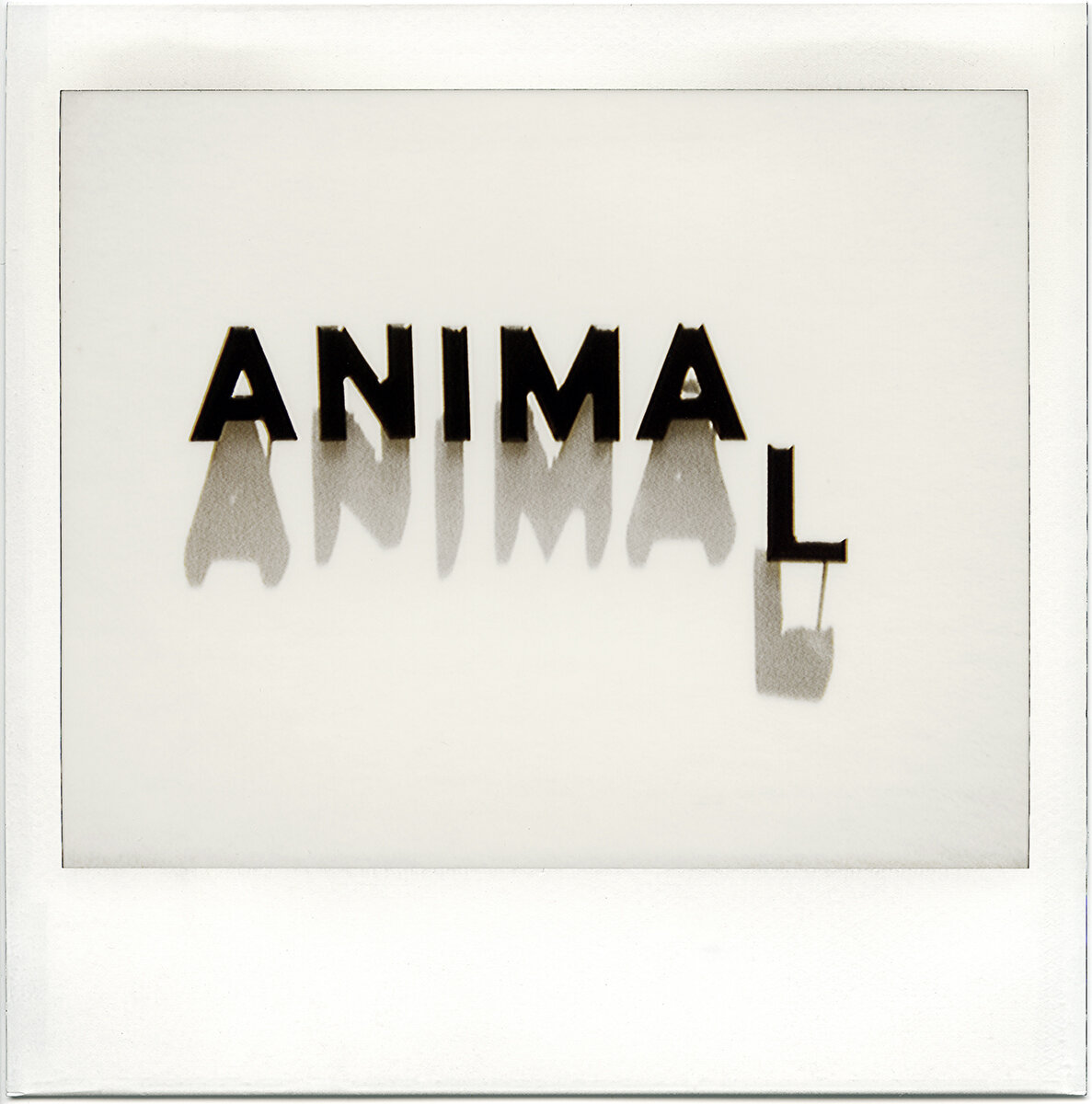 F&D Cartier  MuttuM, 2020  Photographier le Silence 4.jpg