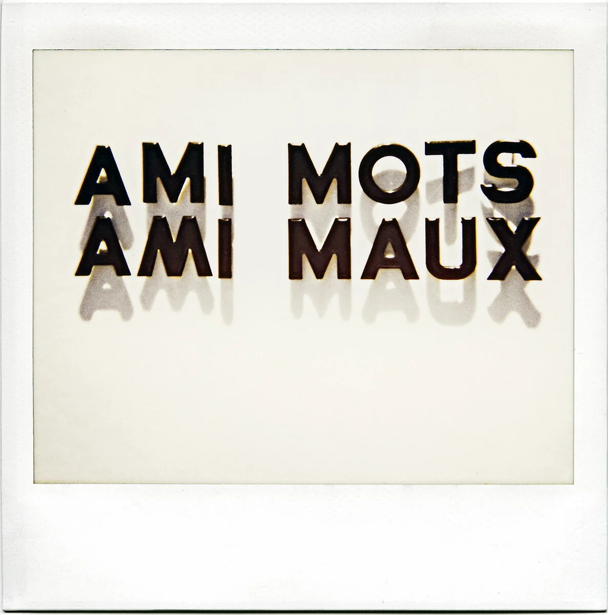 F&D Cartier  MuttuM, 2020  Photographier le Silence 3.jpg