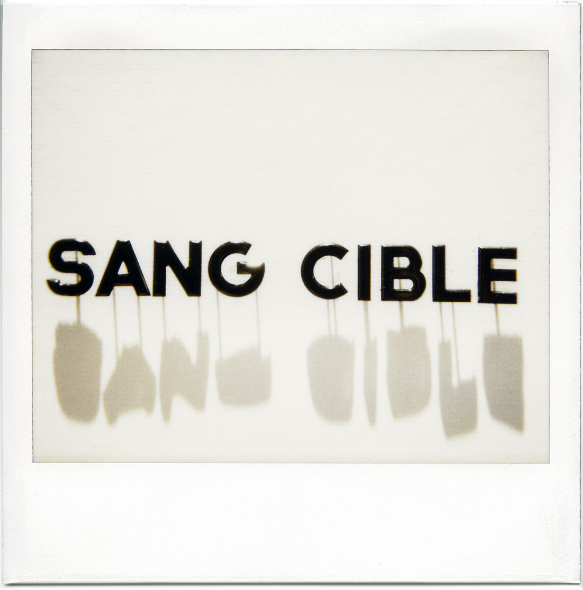 F&D Cartier  MuttuM, 2020  Photographier le Silence 26.jpg