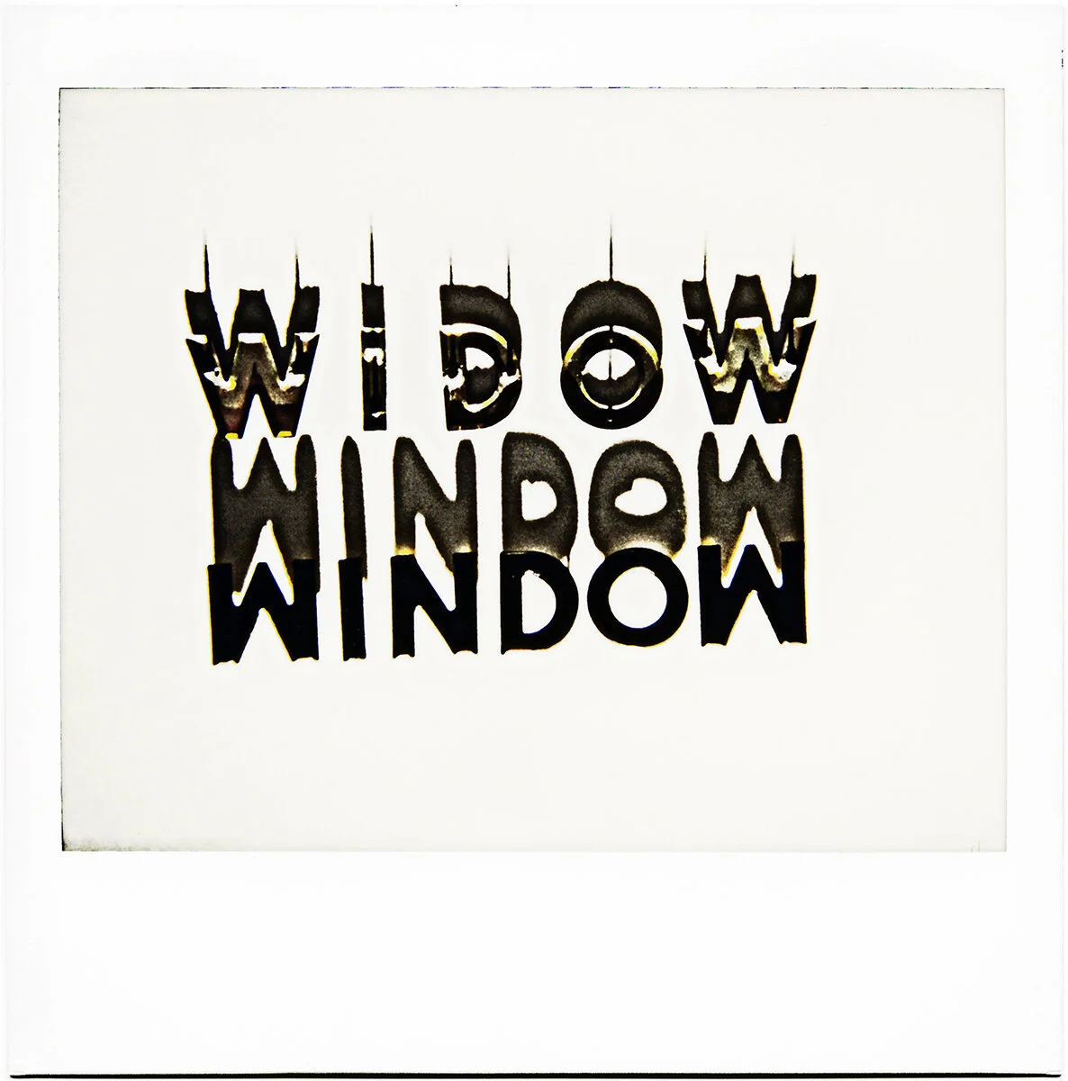 F&D Cartier  MuttuM, 2020  Photographier le Silence 28.jpg