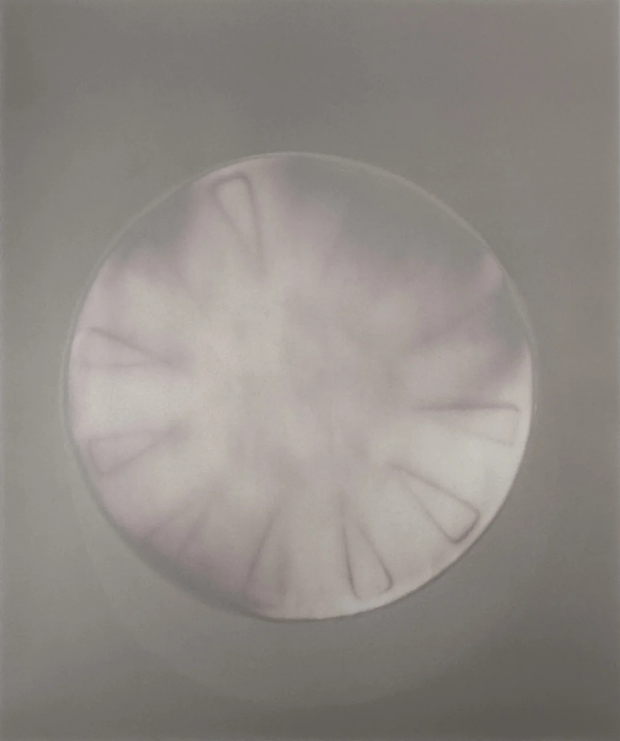 CIRCLE N IMG_6517.jpg