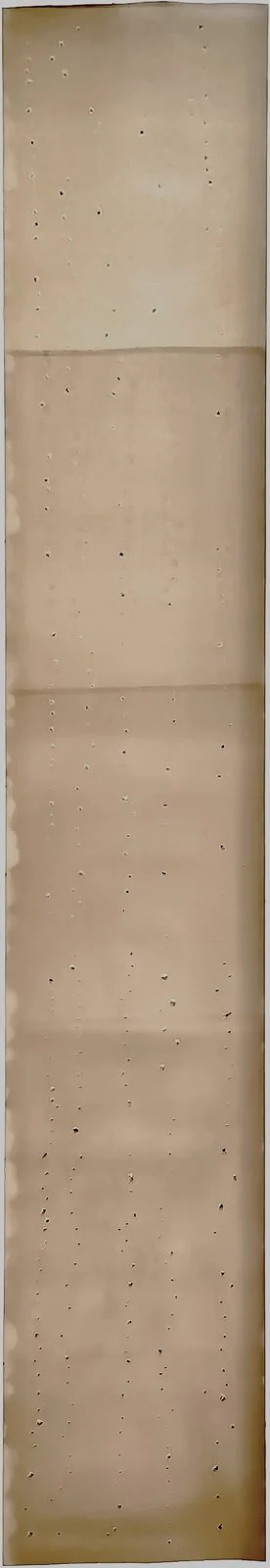 DOTS ROULEAU GEVAERT IMG_0412.jpg