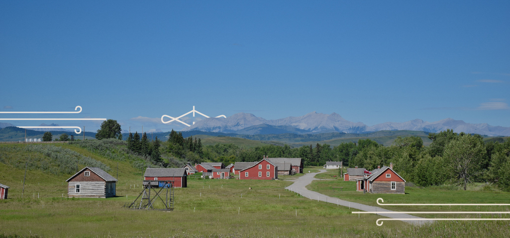 Alberta ranches to your plate.