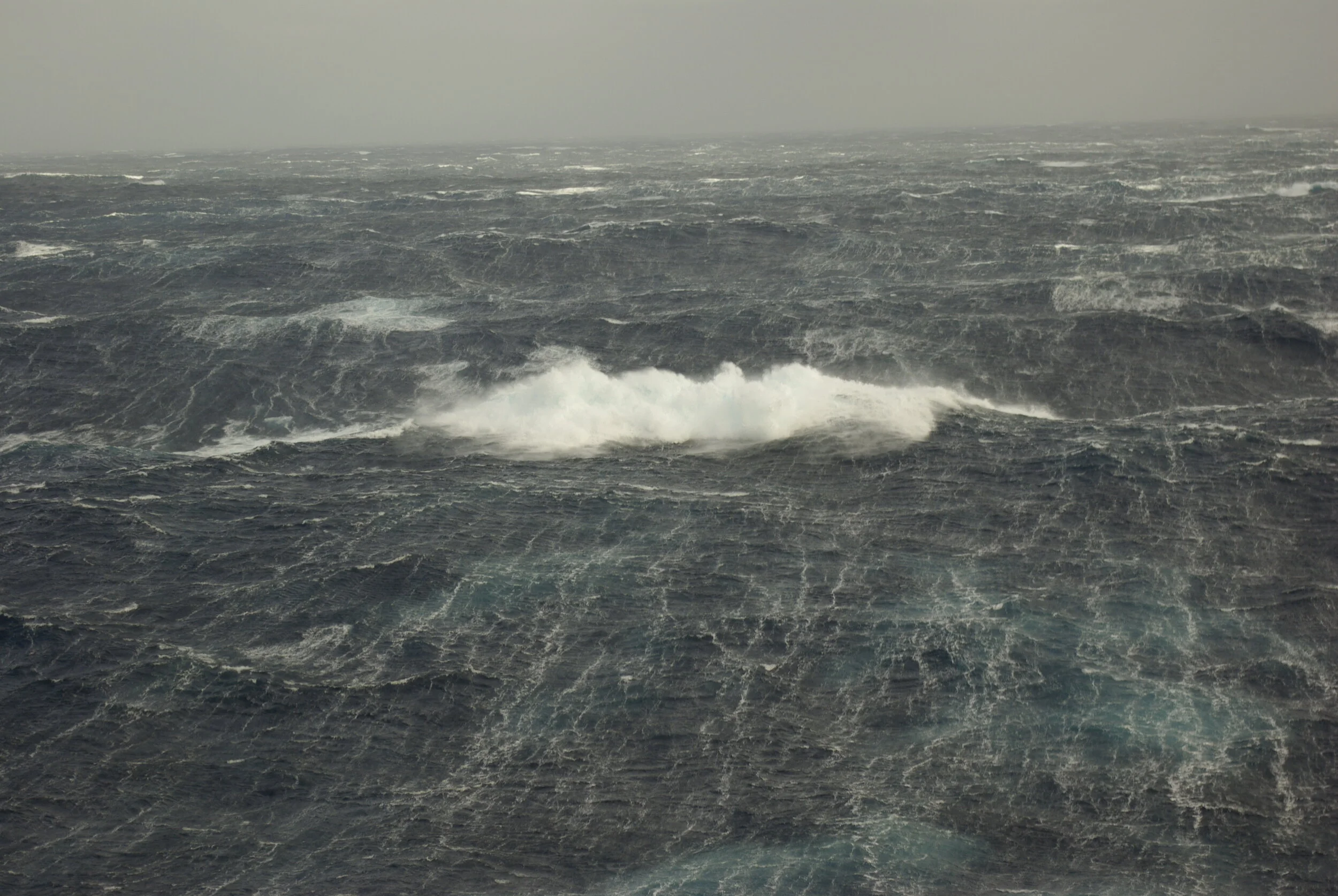 Copy of _G100946.JPG