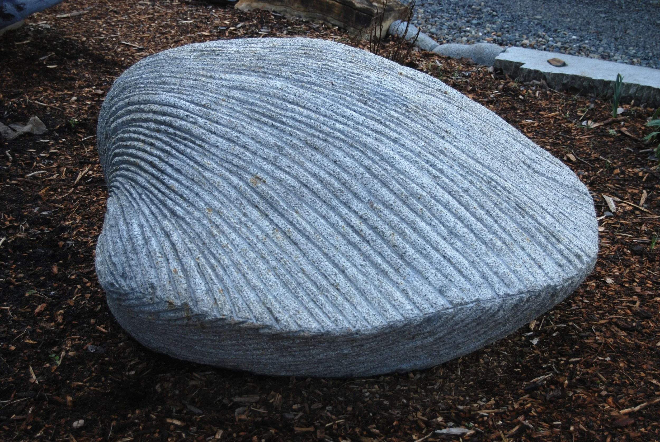King Clam