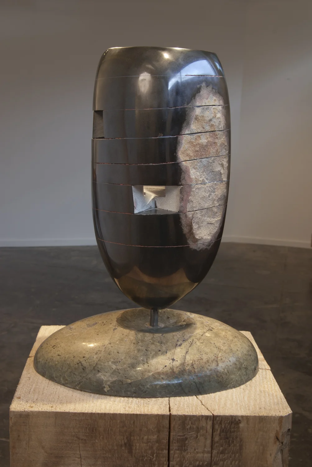Vessel-reconstructed.jpg