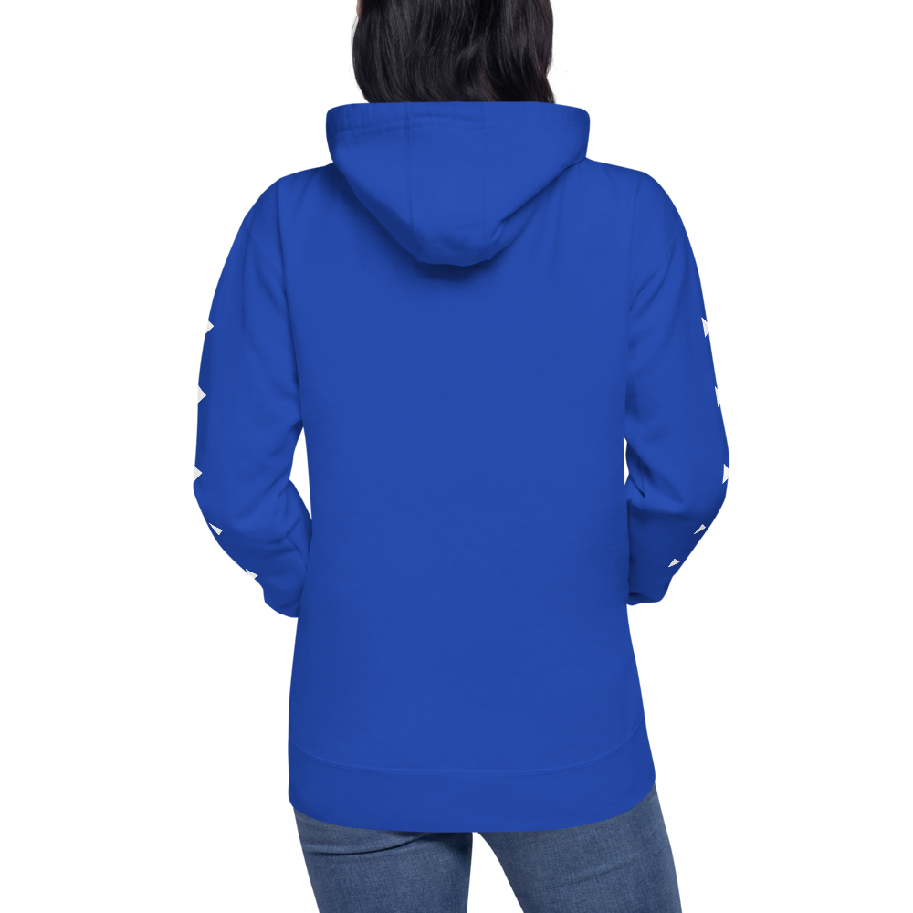 cotton-heritage-m2580-i-unisex-premium-pullover-hoodie-team-royal-back-698d226ec233b.png