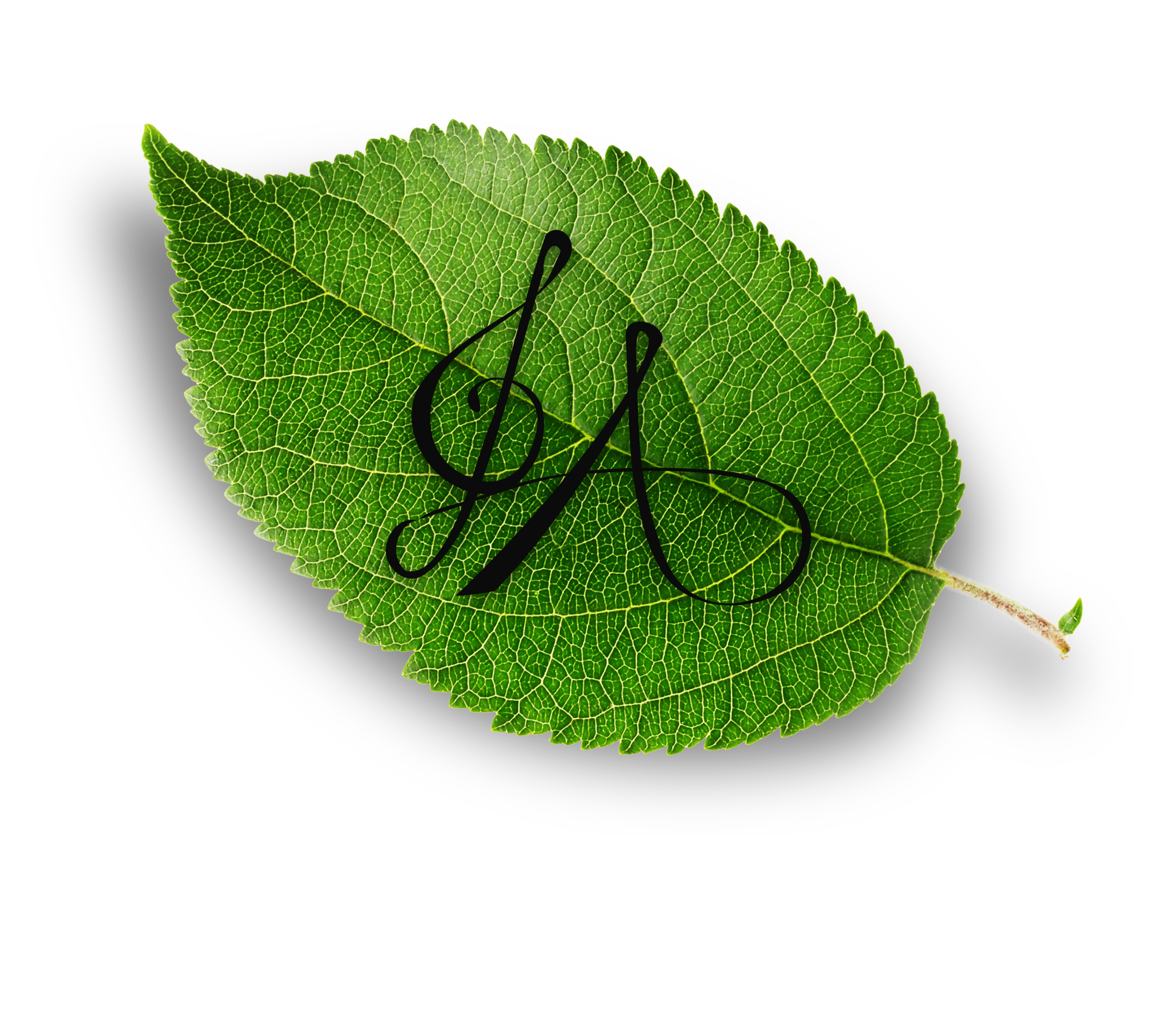 watermark-hd-no-background.png