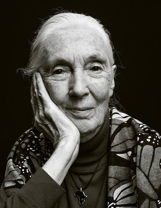 &ldquo;You cannot get through a single day without having an impact on the world around you. What you do makes a difference, and you have to decide what kind of difference you want to make.&rdquo; 
Jane Goodall