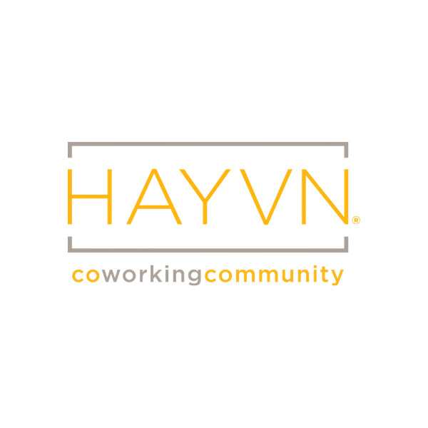 logo-havyn.png