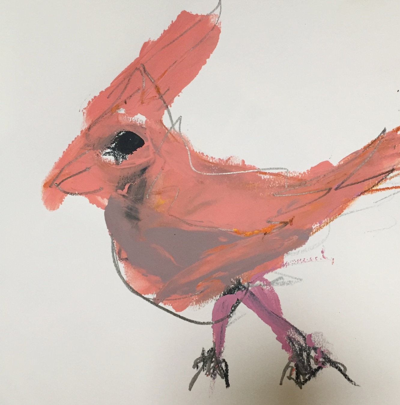 Cardinal