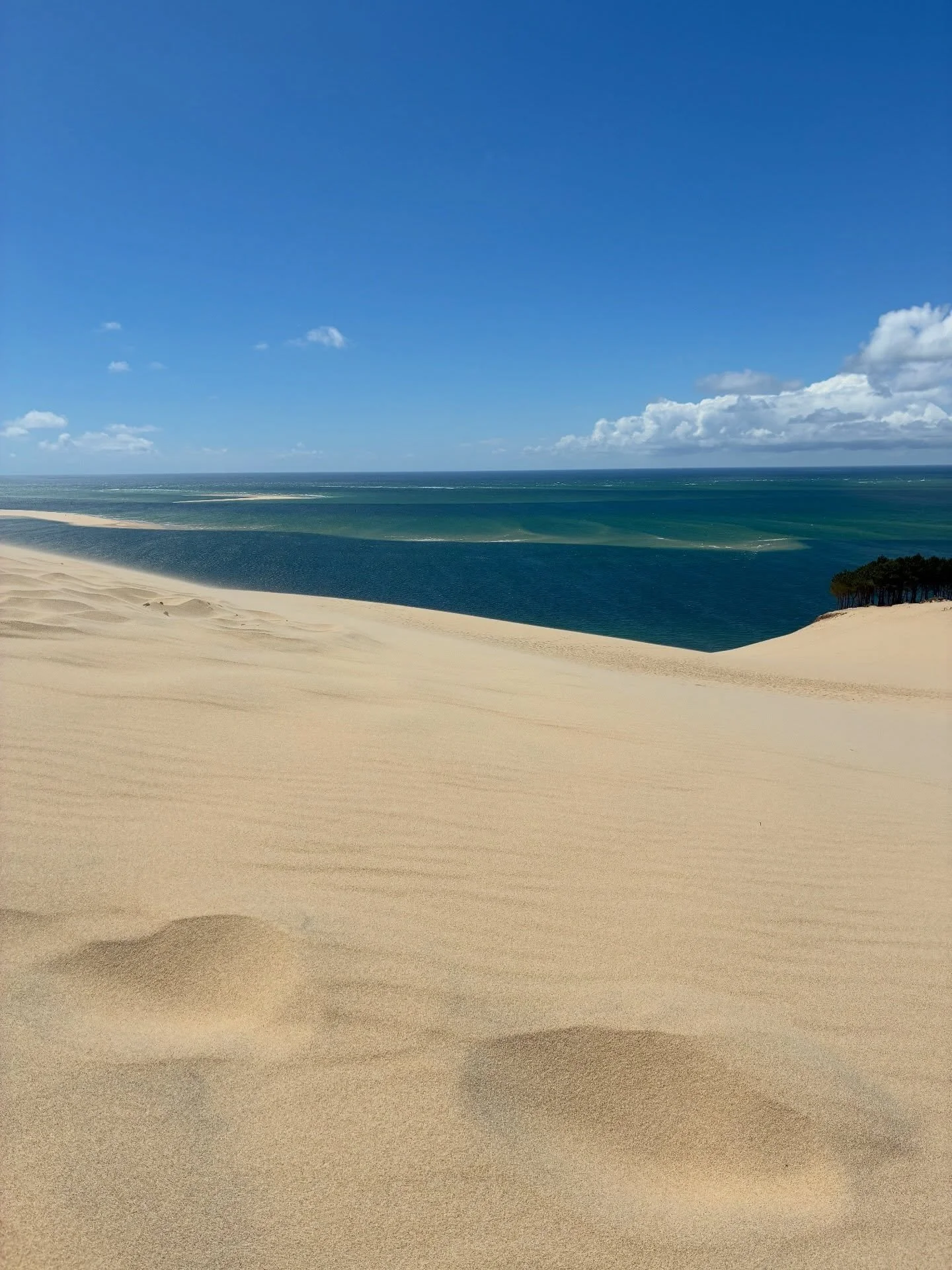 A whirlwind first week from the Bay of Arcachon to the Gardens of Marqueyssac. Parts of Bordeaux and Perigord France. #arcachon #capferret #lascaux4 #roquegageac #jadinmarqueyssac