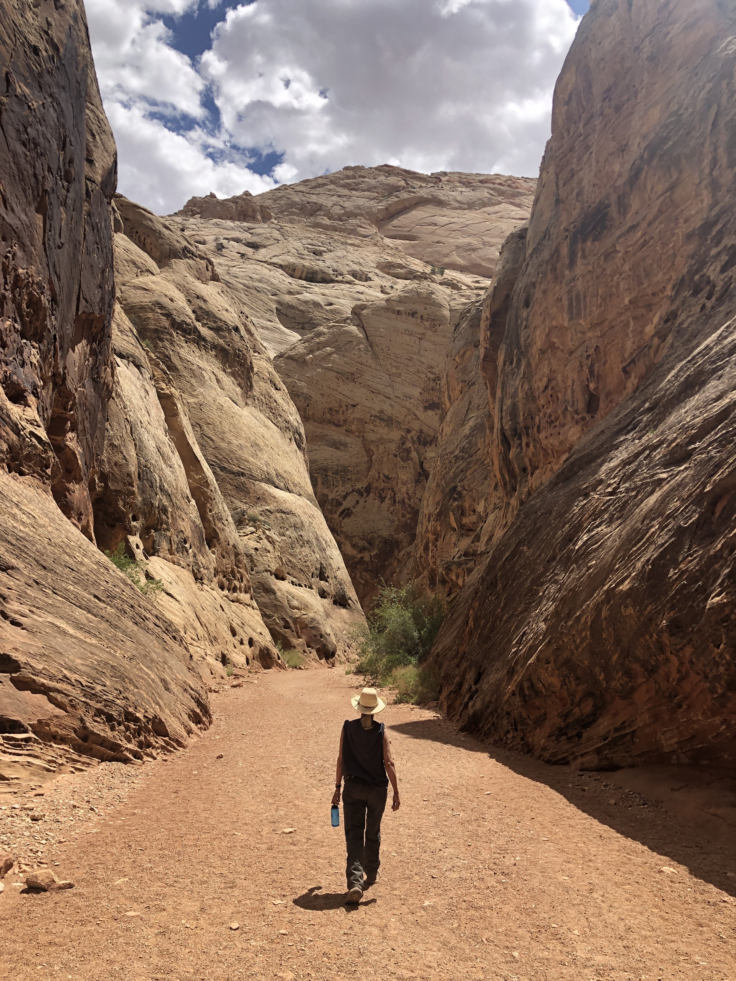 Desert Solitaire