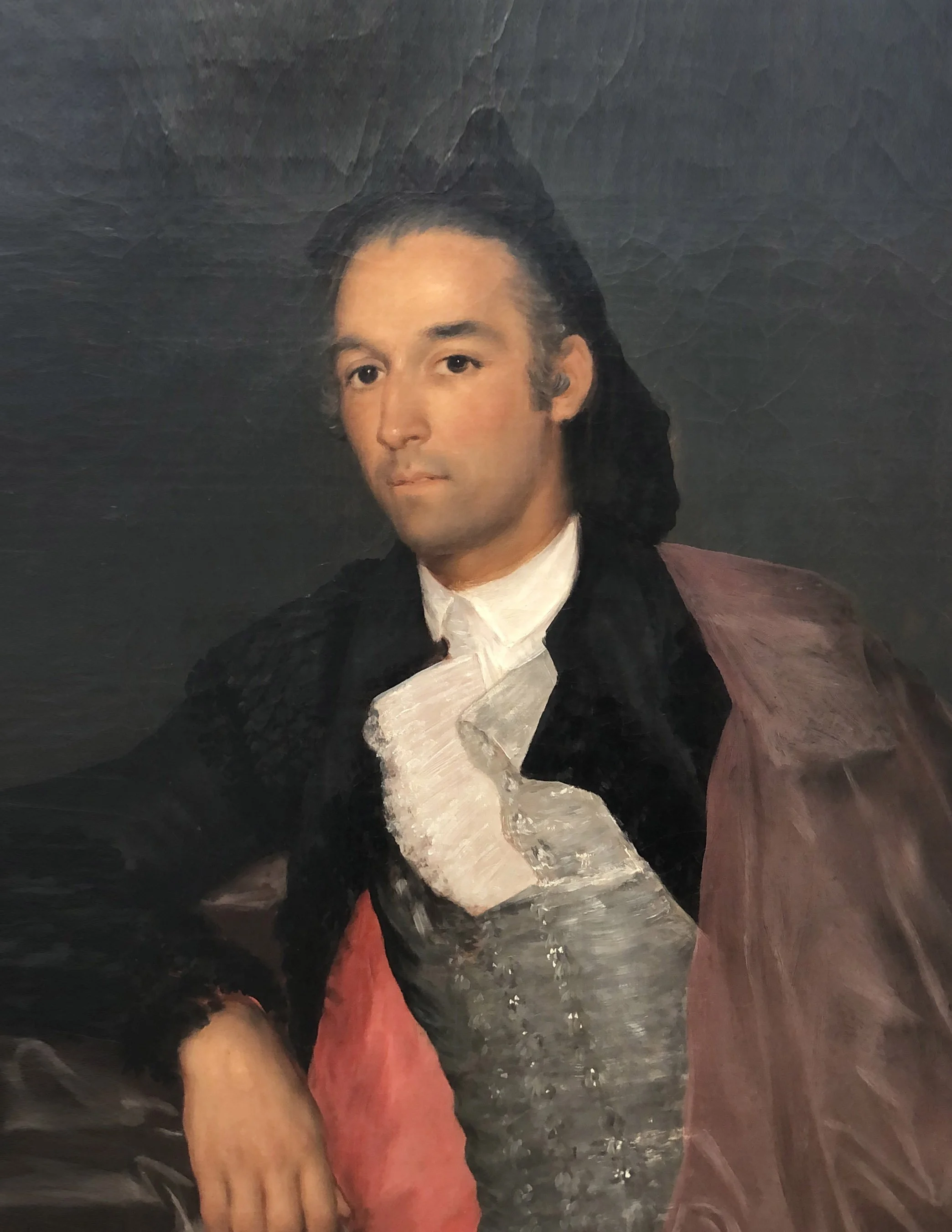 Goya's Matador