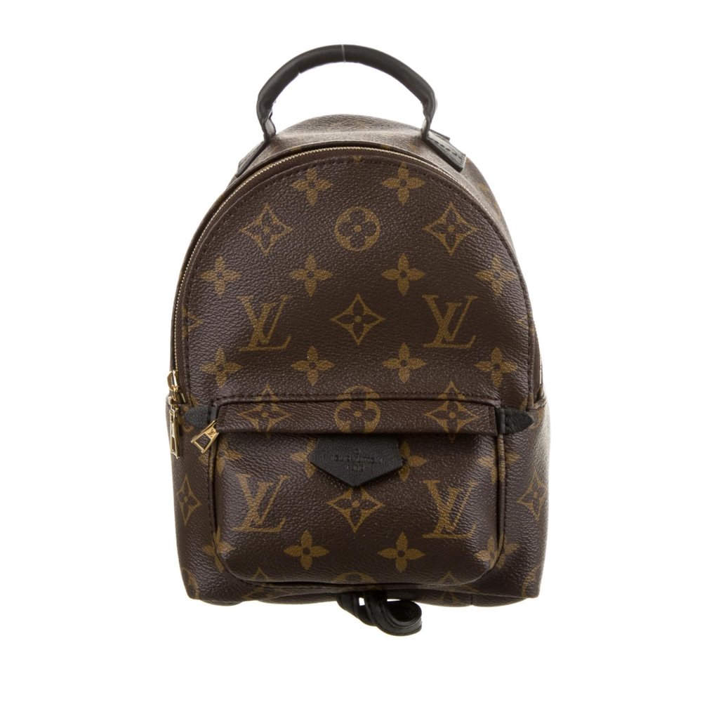 Louis Vuitton Monogram Mini Palm Springs - Brown Backpacks