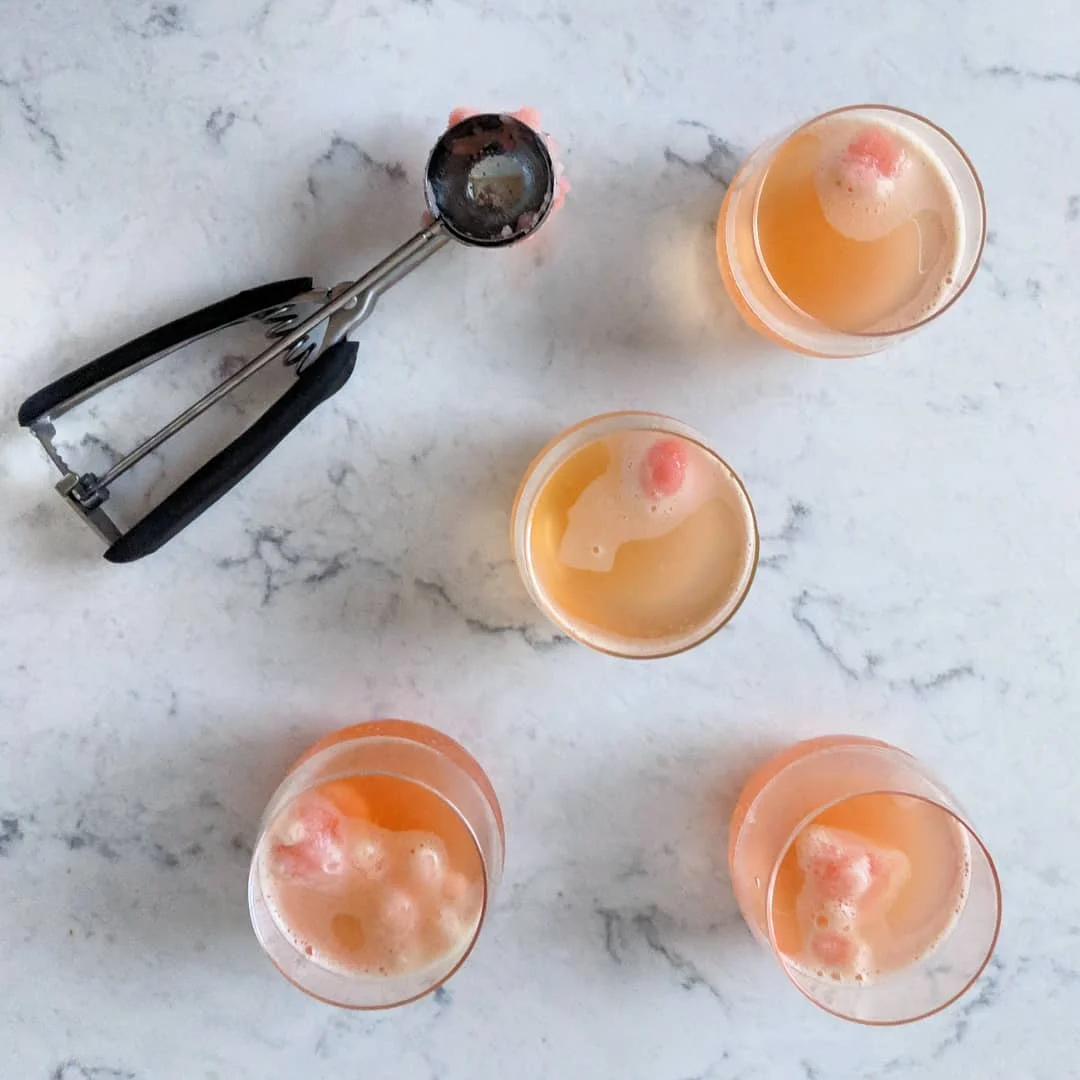 citrus_sorbet_fizzes_for_everyone.jpg