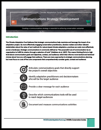 Strategic Communications Guide
