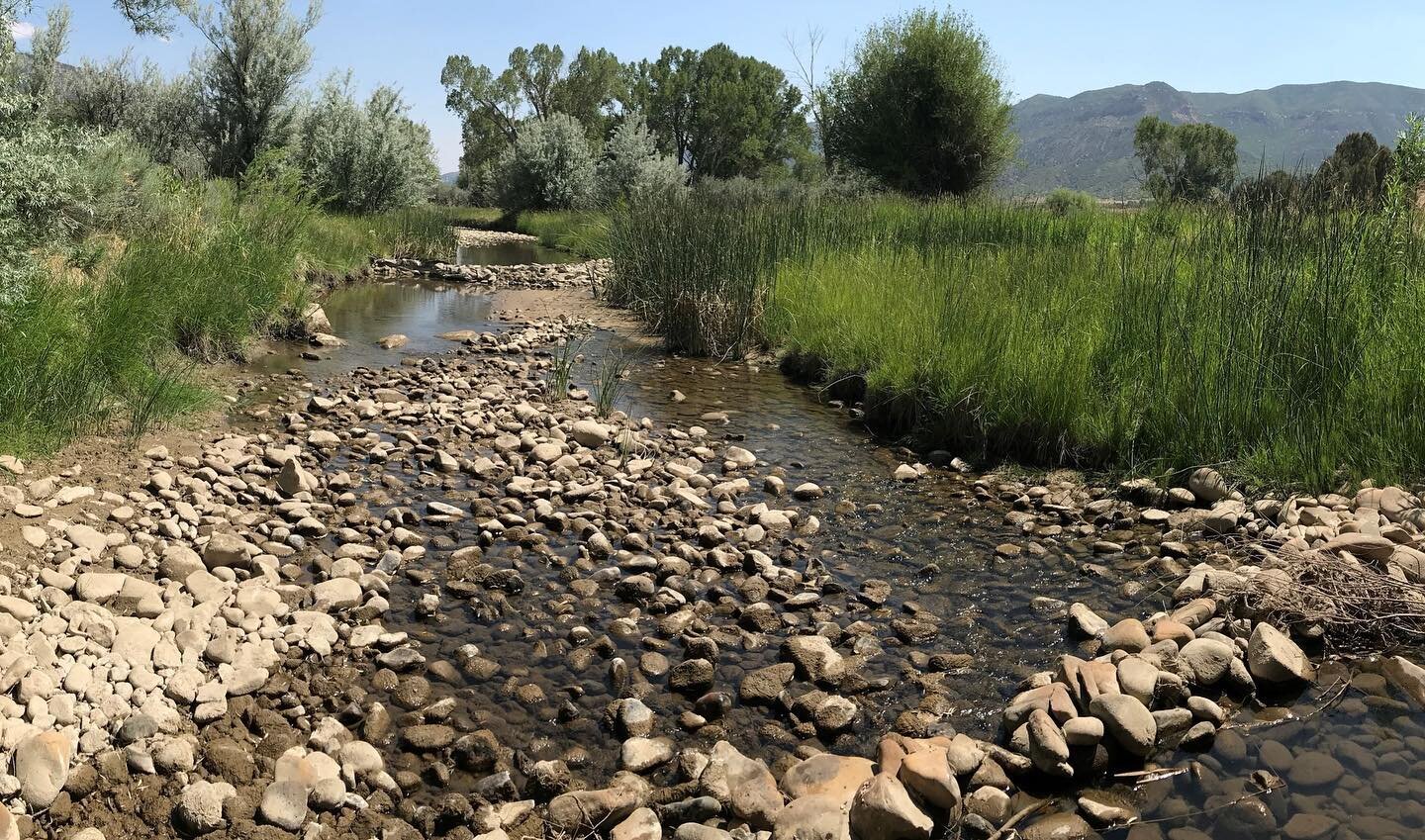 Southwest CO's Mancos River supports riparian ecosystems, and the livelihoods and Indigenous lands of over 4,000 people. However, this river is vulnerable to climate-driven drought. @mountainstudiesinstitute along w/ the Ute Mountain Ute Tribe is wor