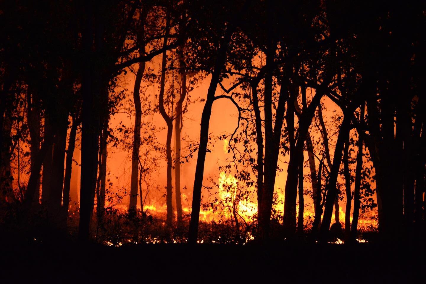 In this season of extreme temps and #wildfire, check out our blog on three adaptation strategies that work: @mongabay https://news.mongabay.com/2019/11/in-a-season-of-wildfire-three-strategies-that-work-commentary/