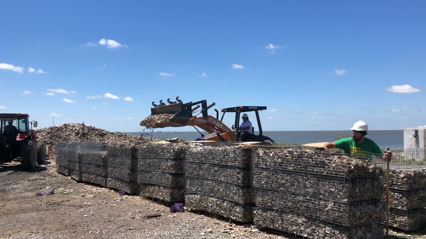 Gabion mats were filled with recycled shell at Buras site prior to deployment. 