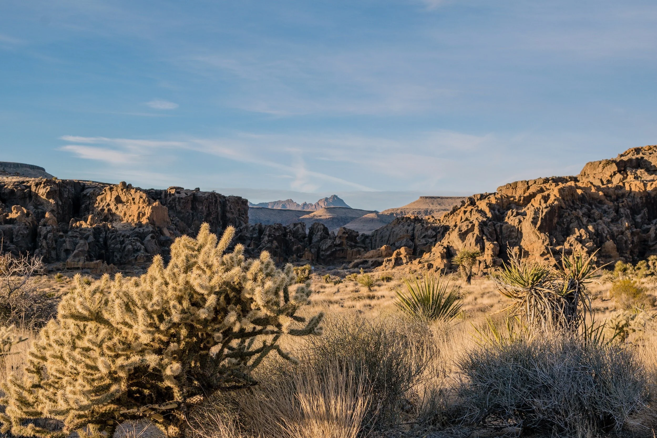 unsplash-image-m2_pf1t9rr4.jpg