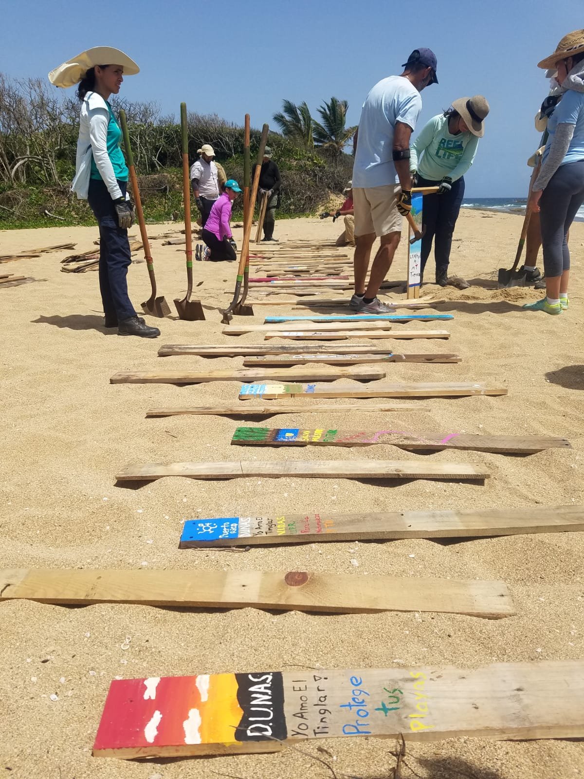 Community Members preparing sand catchment devices for dune restoration.