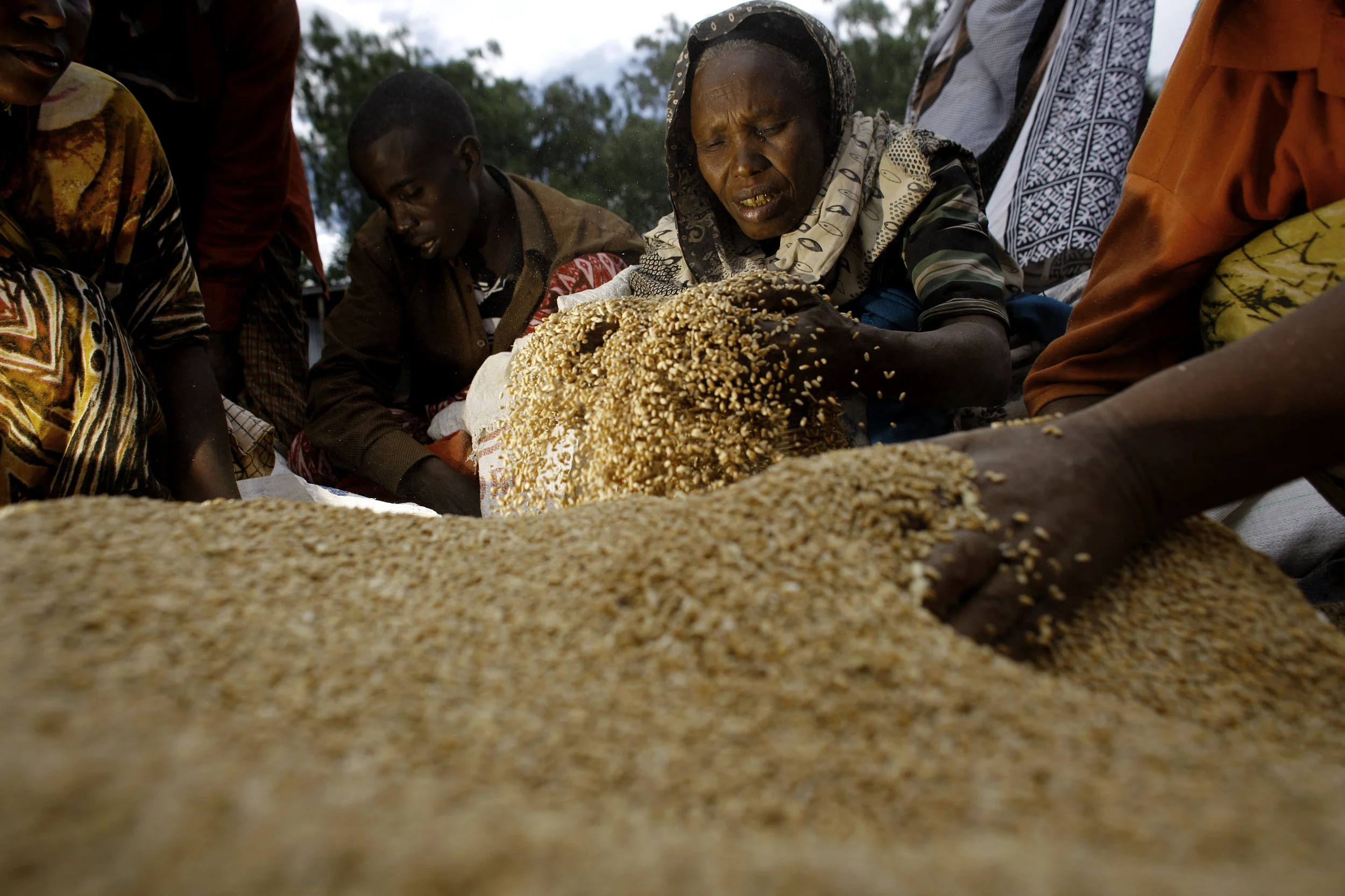 Food aid is divided up among women in drought stricken region of Ethiopia.