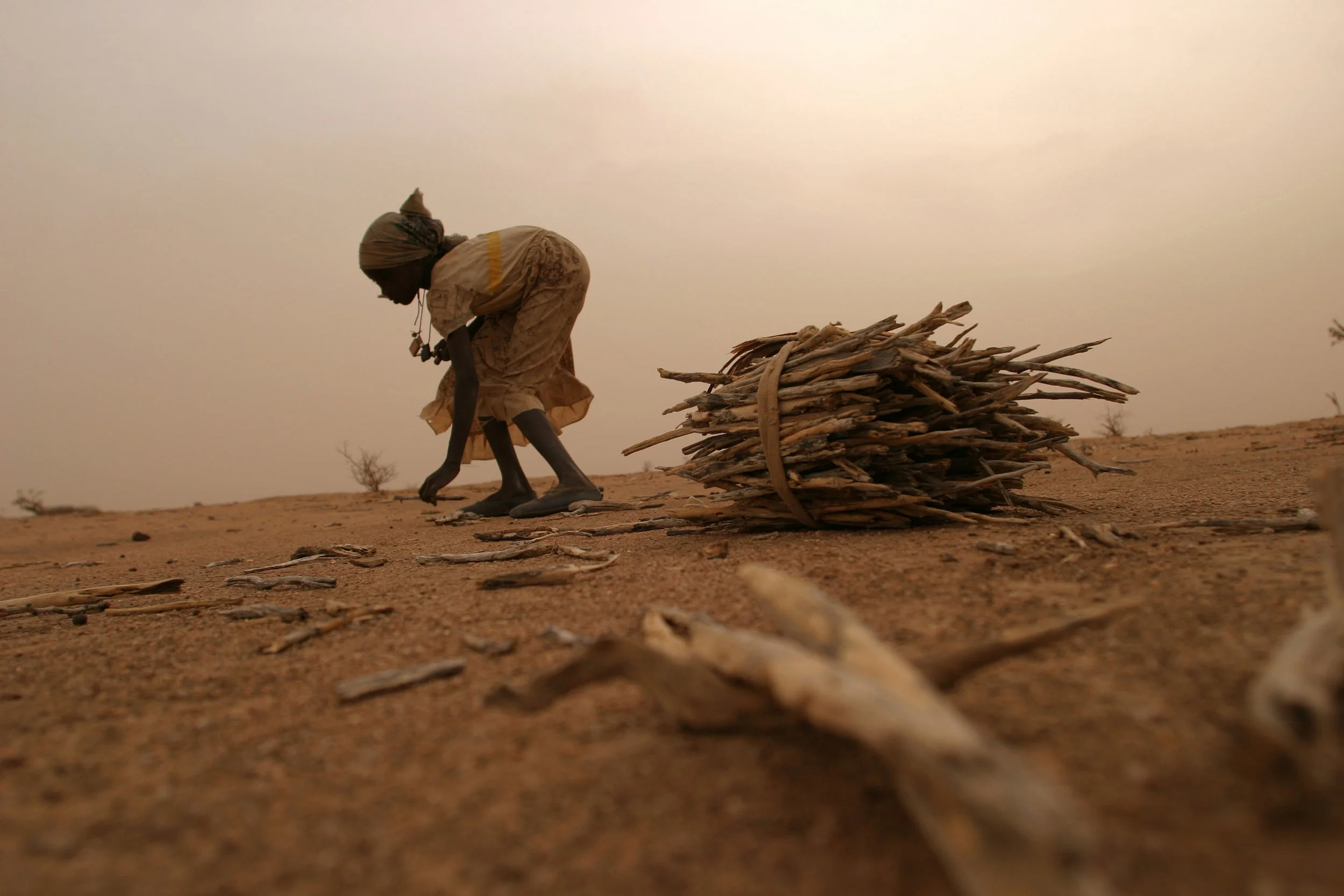 A young girl gathers wood outside of a refugee camp in Chad. For young women the chore of fetching firewood is a dangerous proposition as often times they are targets of sexual assaults. 