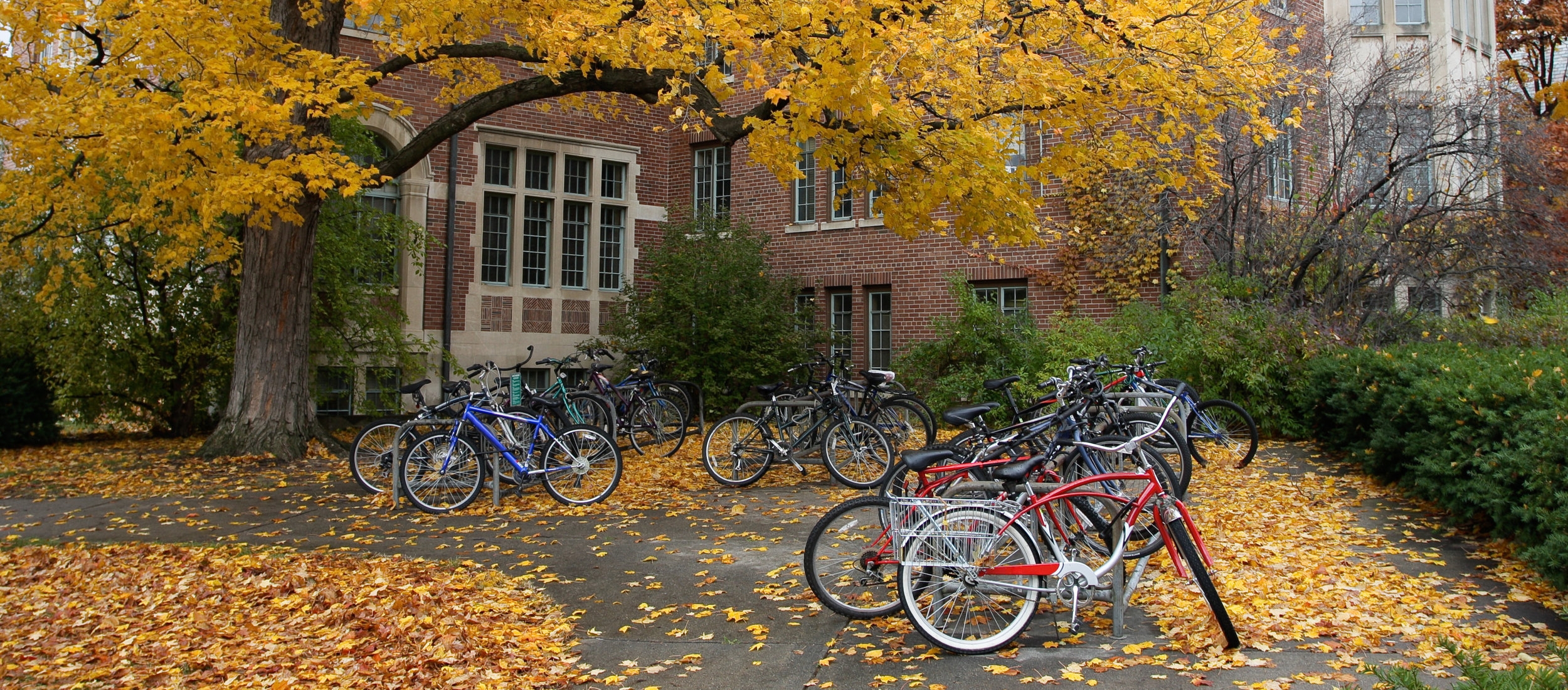 bikes on campus.jpg