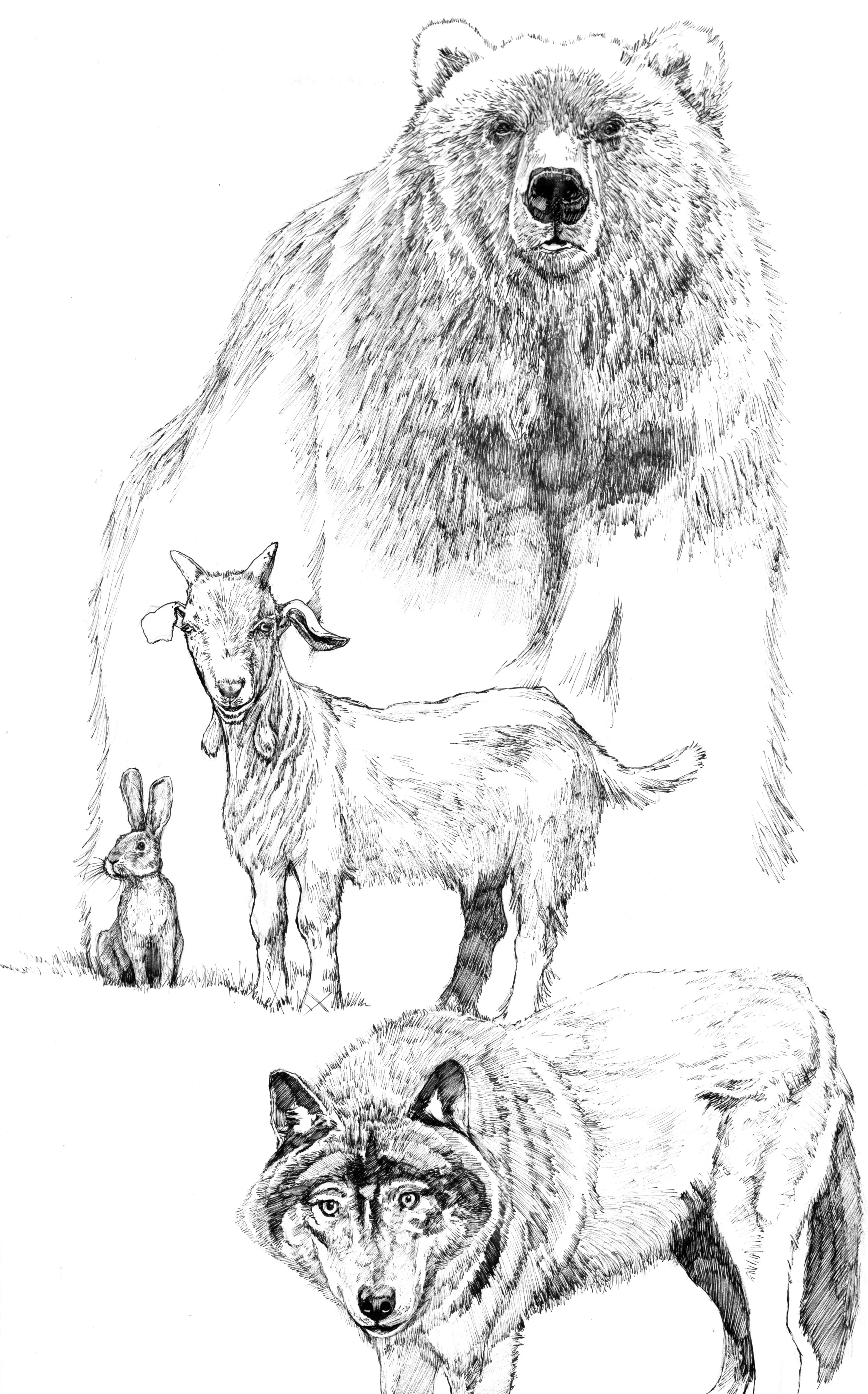 bear_goat_bunny_wolf.jpg