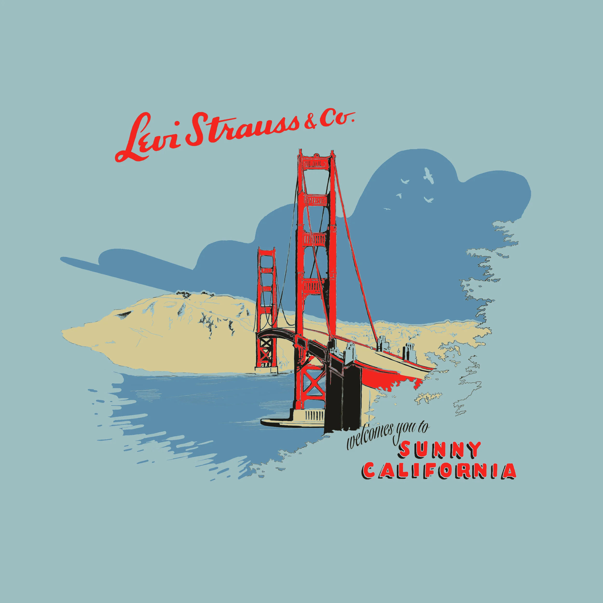 Levi Strauss & Co.