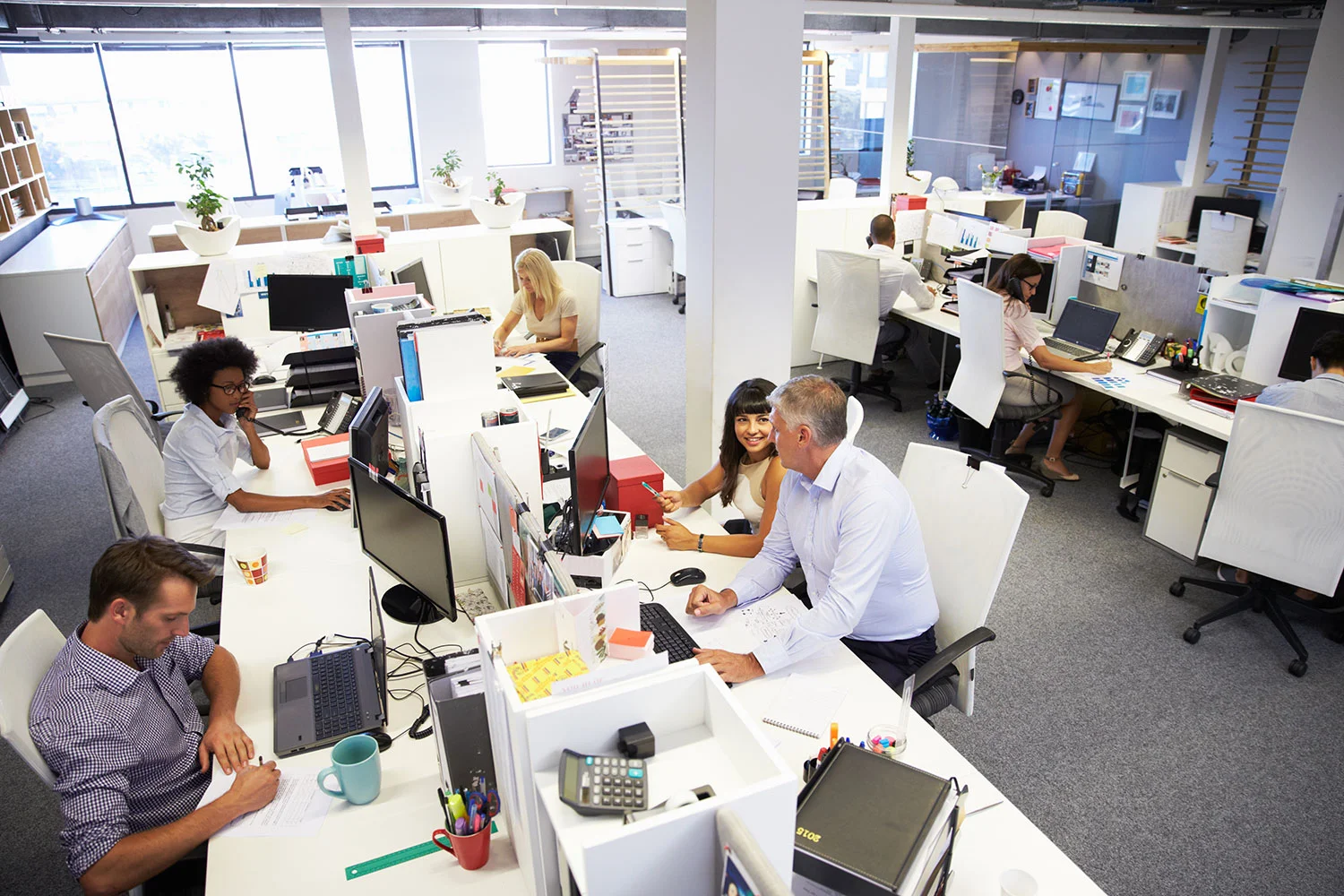 How to Make an Open Office Design Work For You
