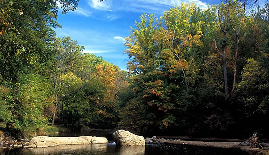 Pennypack-park-4-FOPP-1.jpg