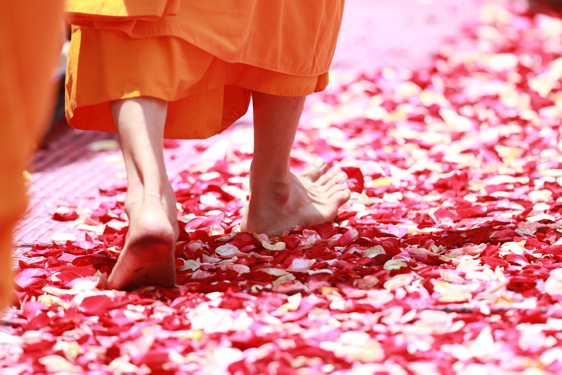 Next Steps in Your Spiritual Journey with Kathryn Girard (remote)