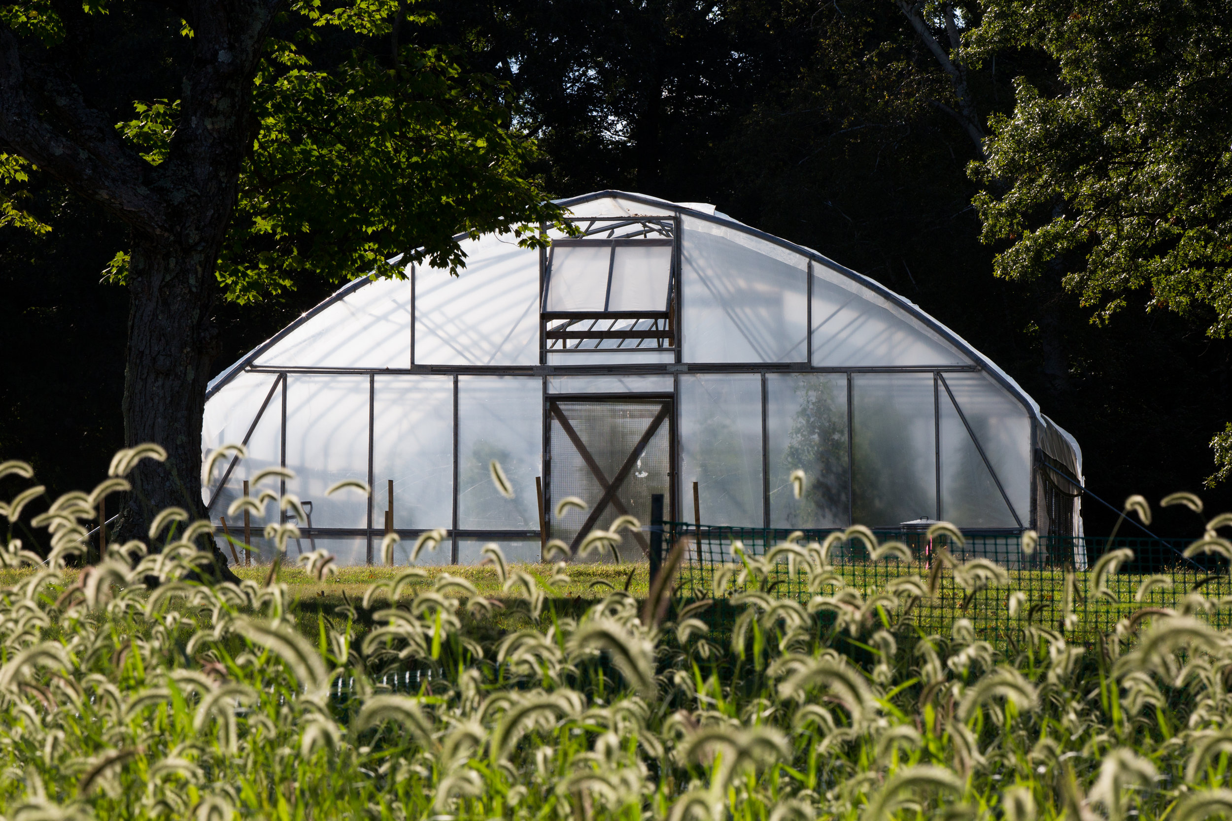 Moveable Hoop House (Copy)