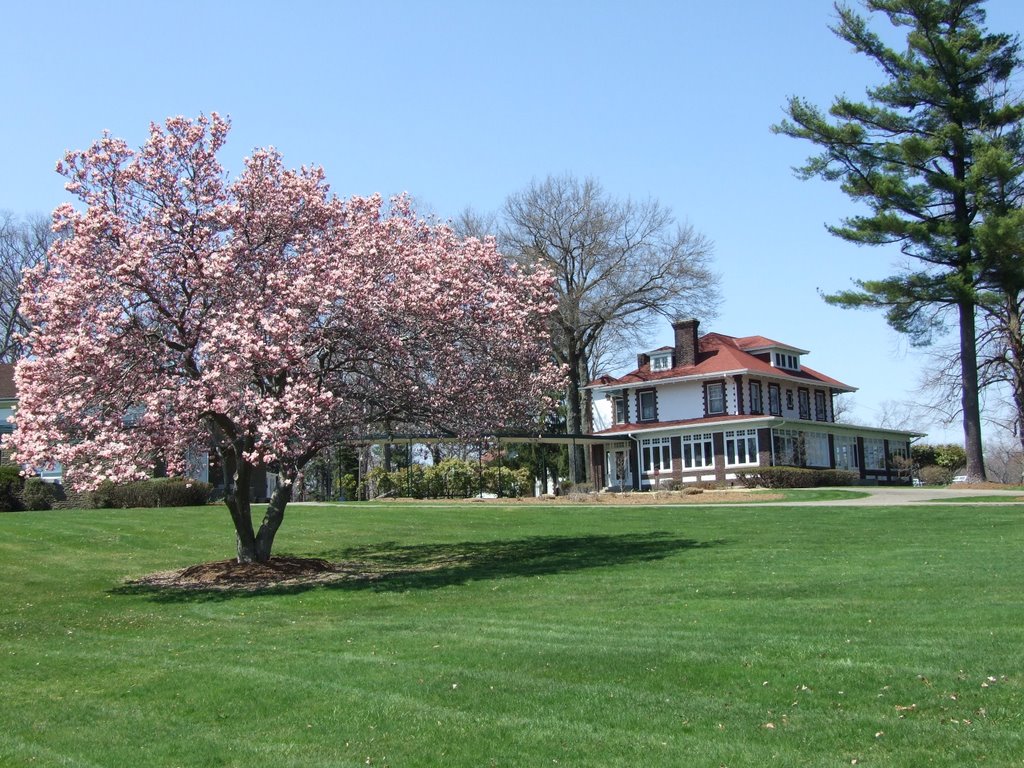 Mueller House (Copy)