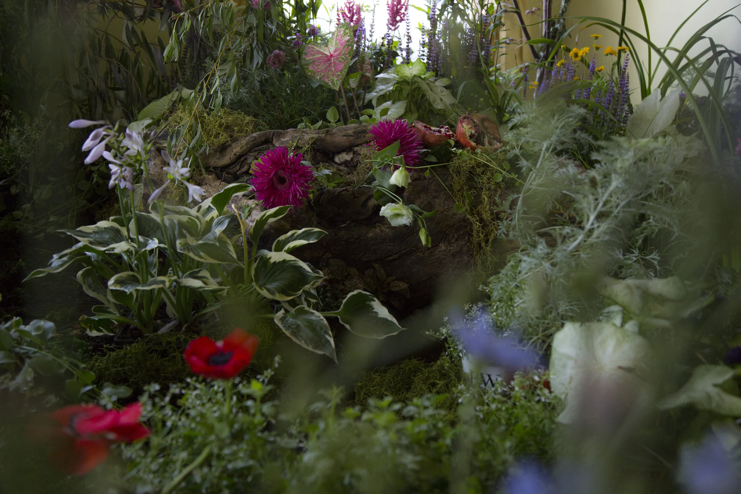 Copy of IMG_0555.JPG