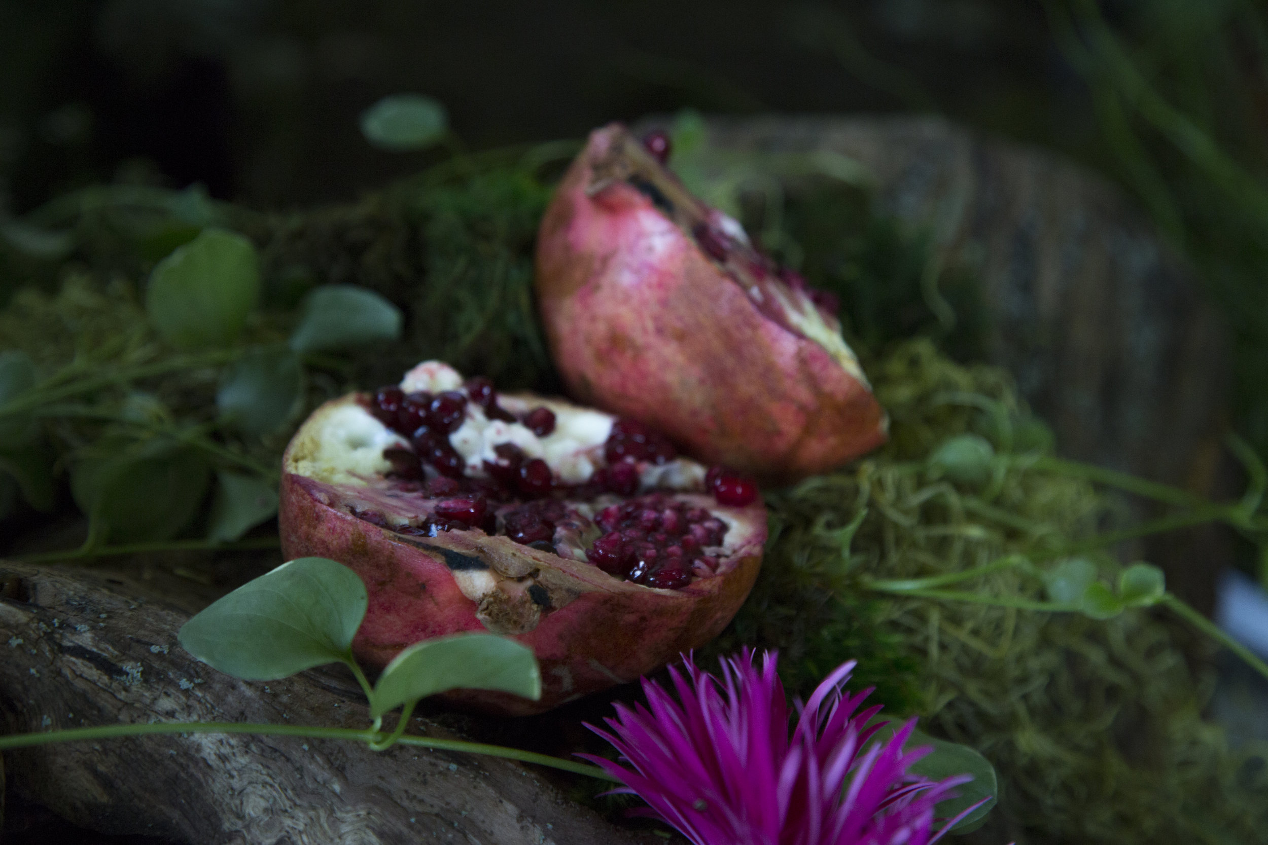 Copy of IMG_0560.JPG