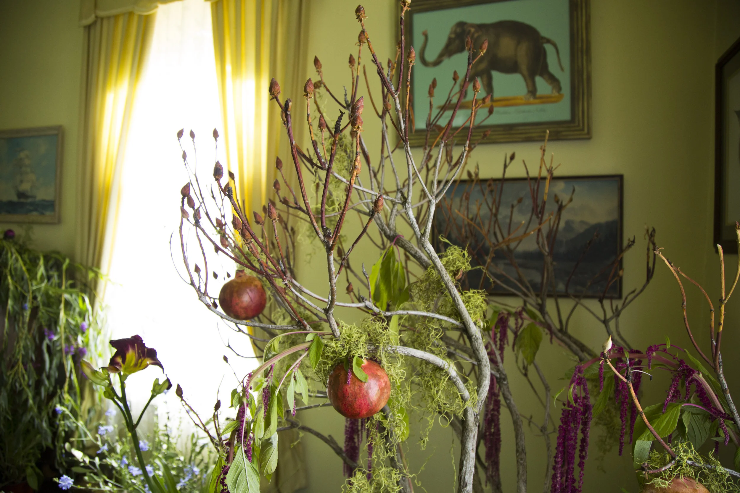 Copy of IMG_0571.JPG