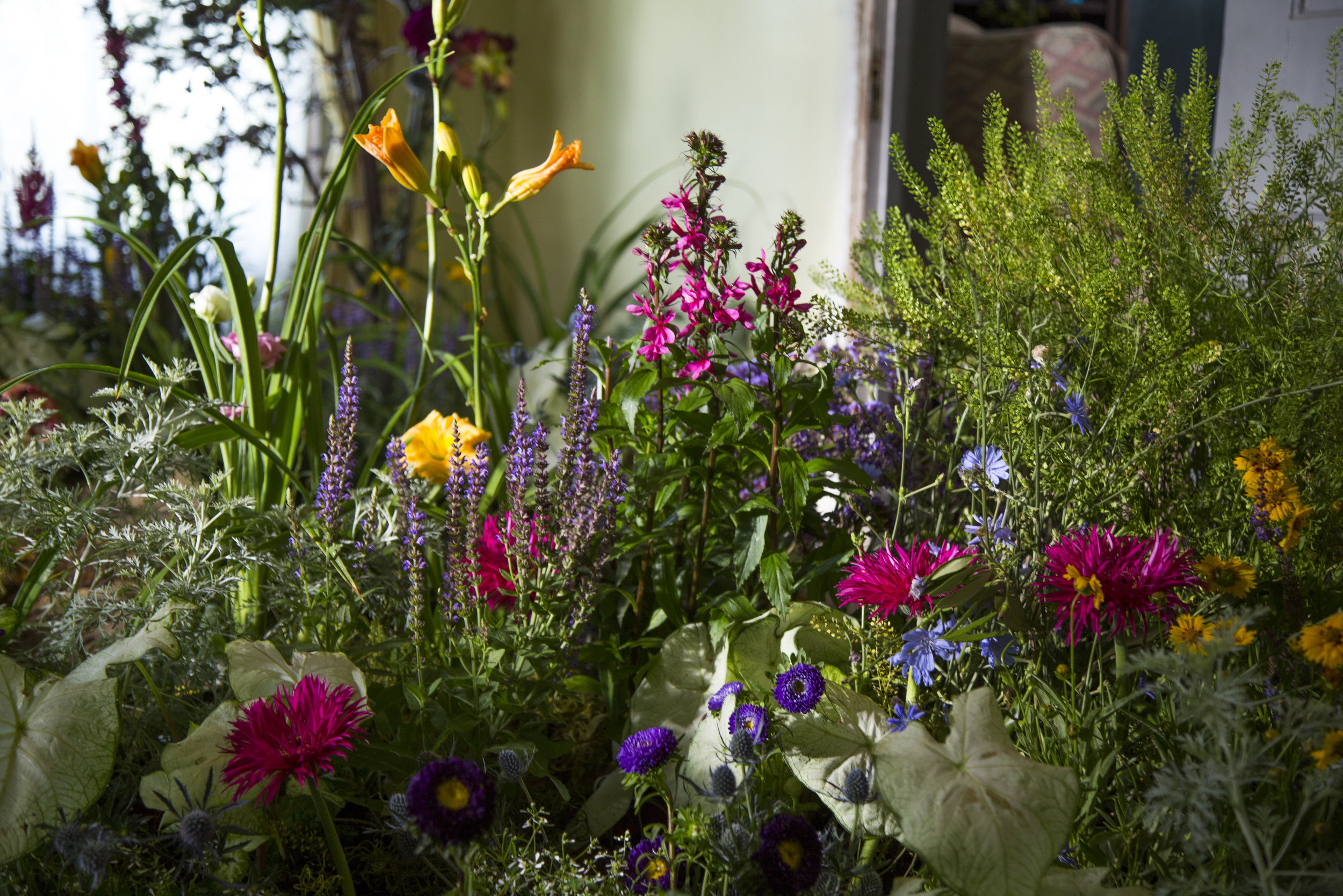 Copy of IMG_0580.JPG