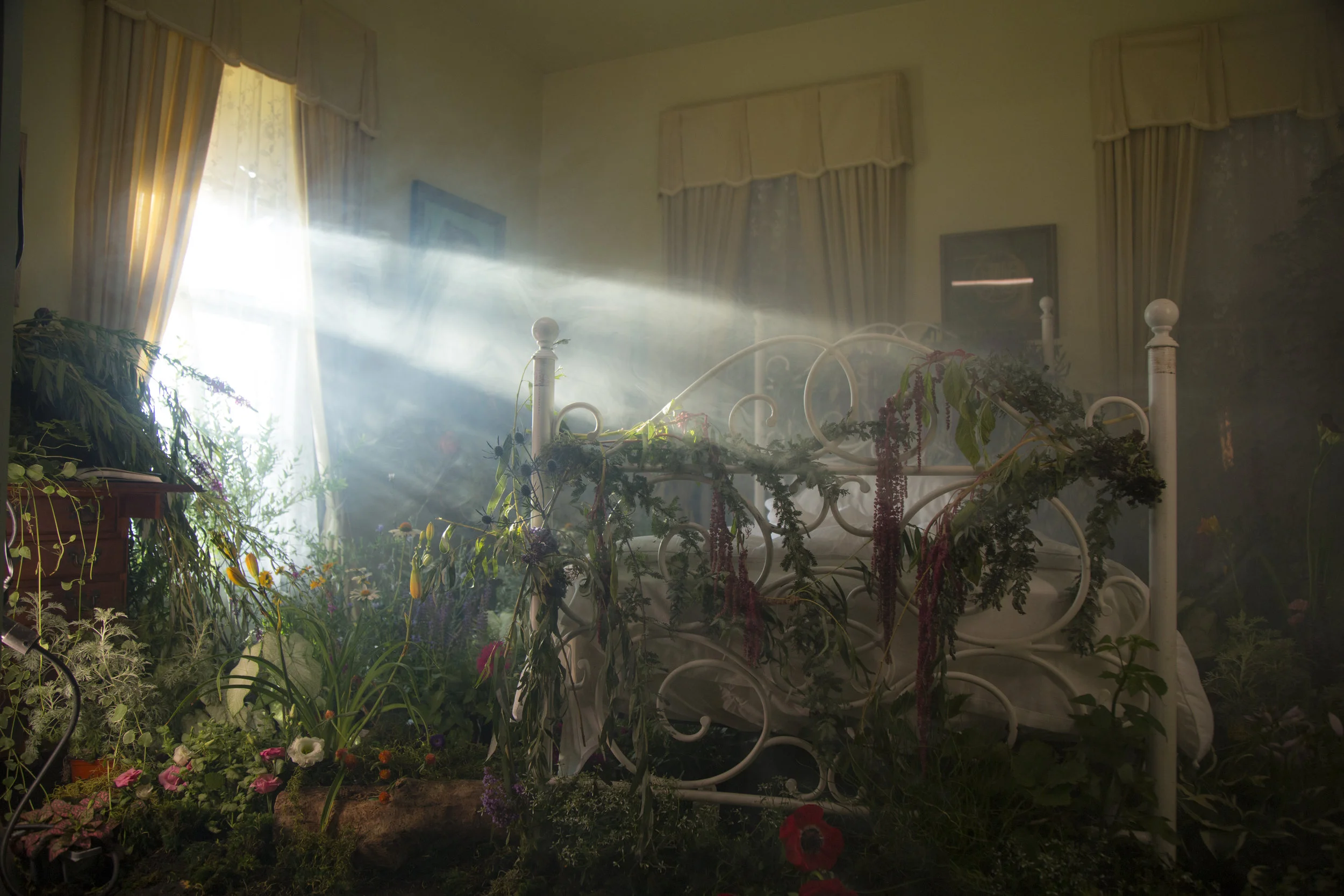 Copy of IMG_0818.JPG