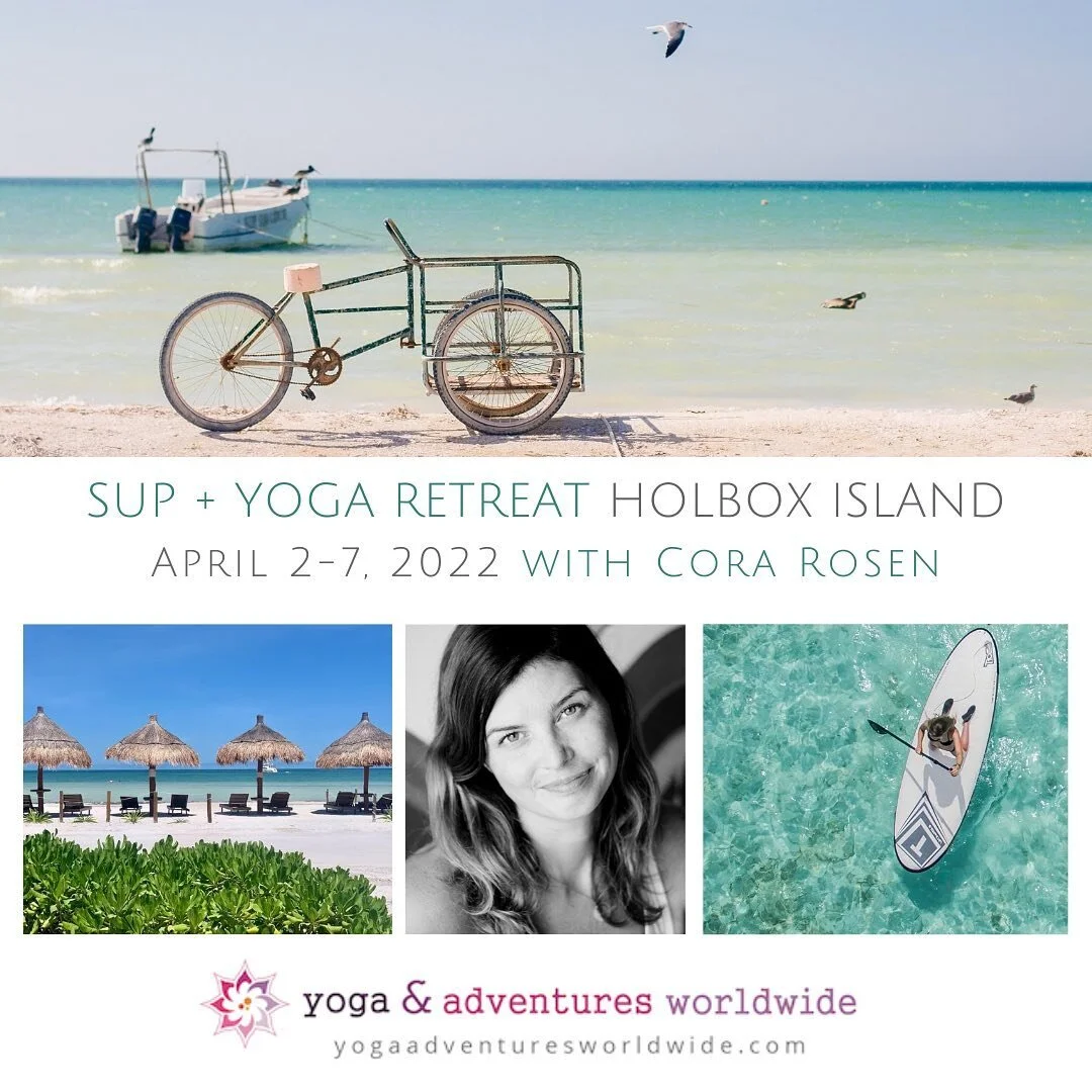 Join @cora_mokshayogastudio  and @yogaandadventuresworldwide April 2-7 on the quaint island of Holbox in Mexico! 🧘&zwj;♀️🍹✈️🚤🏝🌅📿🛺

Holbox is truly a tropical paradise with super calm waters for SUP Yoga practices and paddling out into the Cari